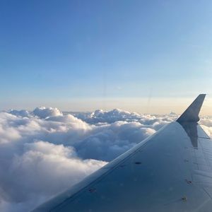 Meet your Posher, Baxter